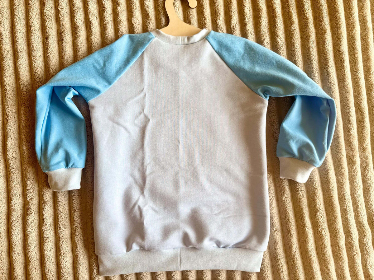 Rückansicht Pullover Kinder Gr. 98 blau, schlicht ohne Motiv