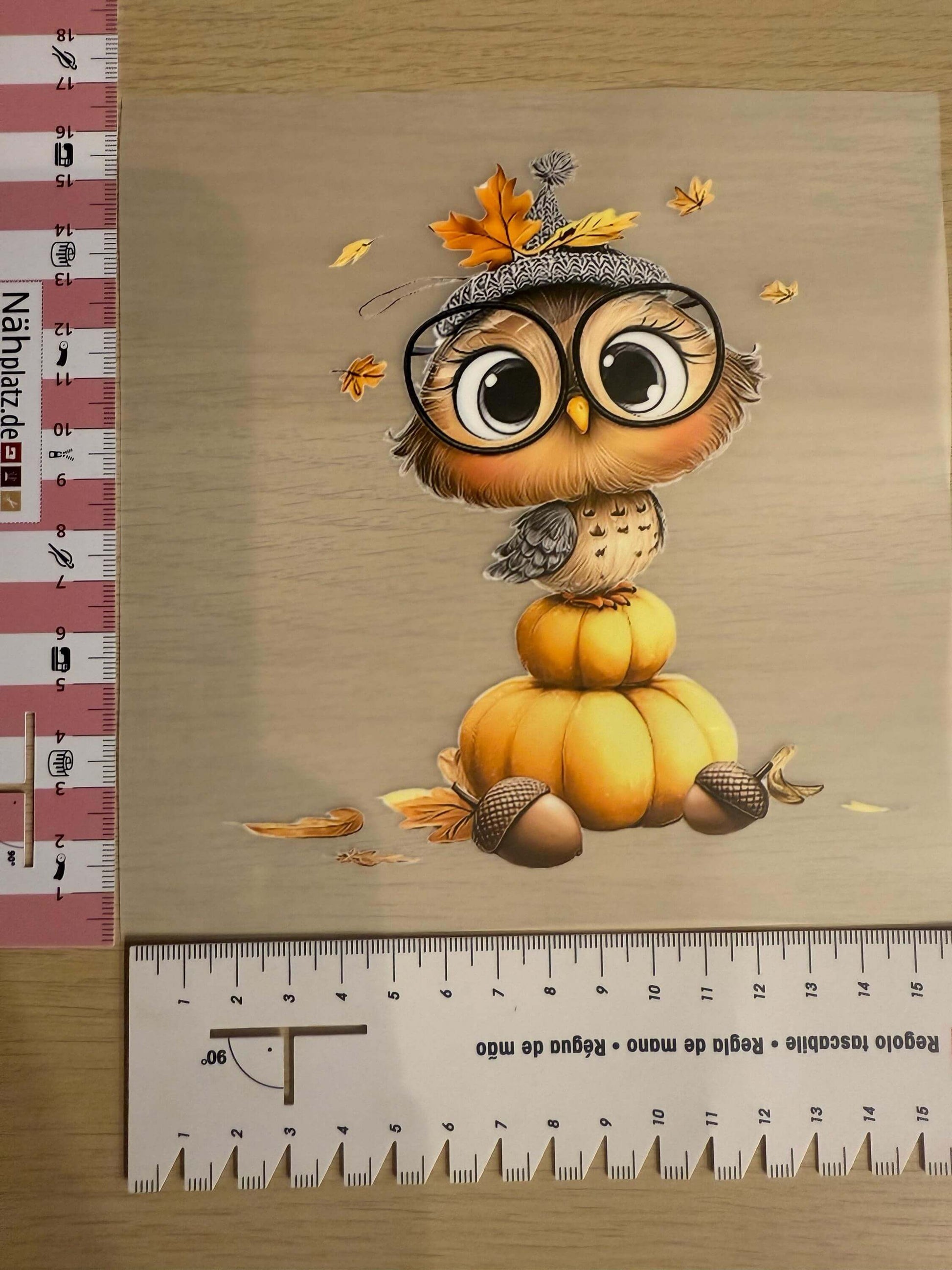 Buegelbild Eule Herbstmotiv 15x15cm fuer kreative DIY Projekte