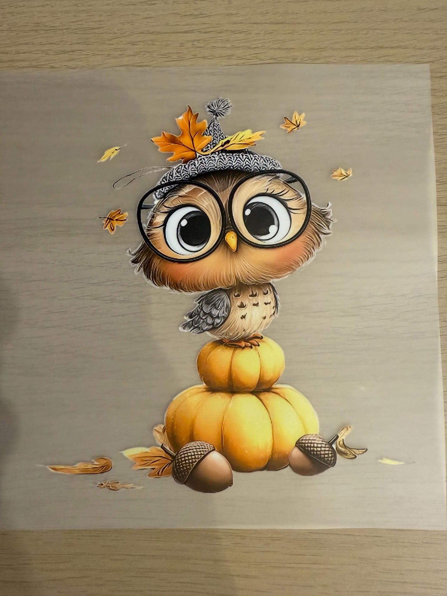  DIY Buegelsticker Herbst Eule Design mit Kuerbis und Blaettern