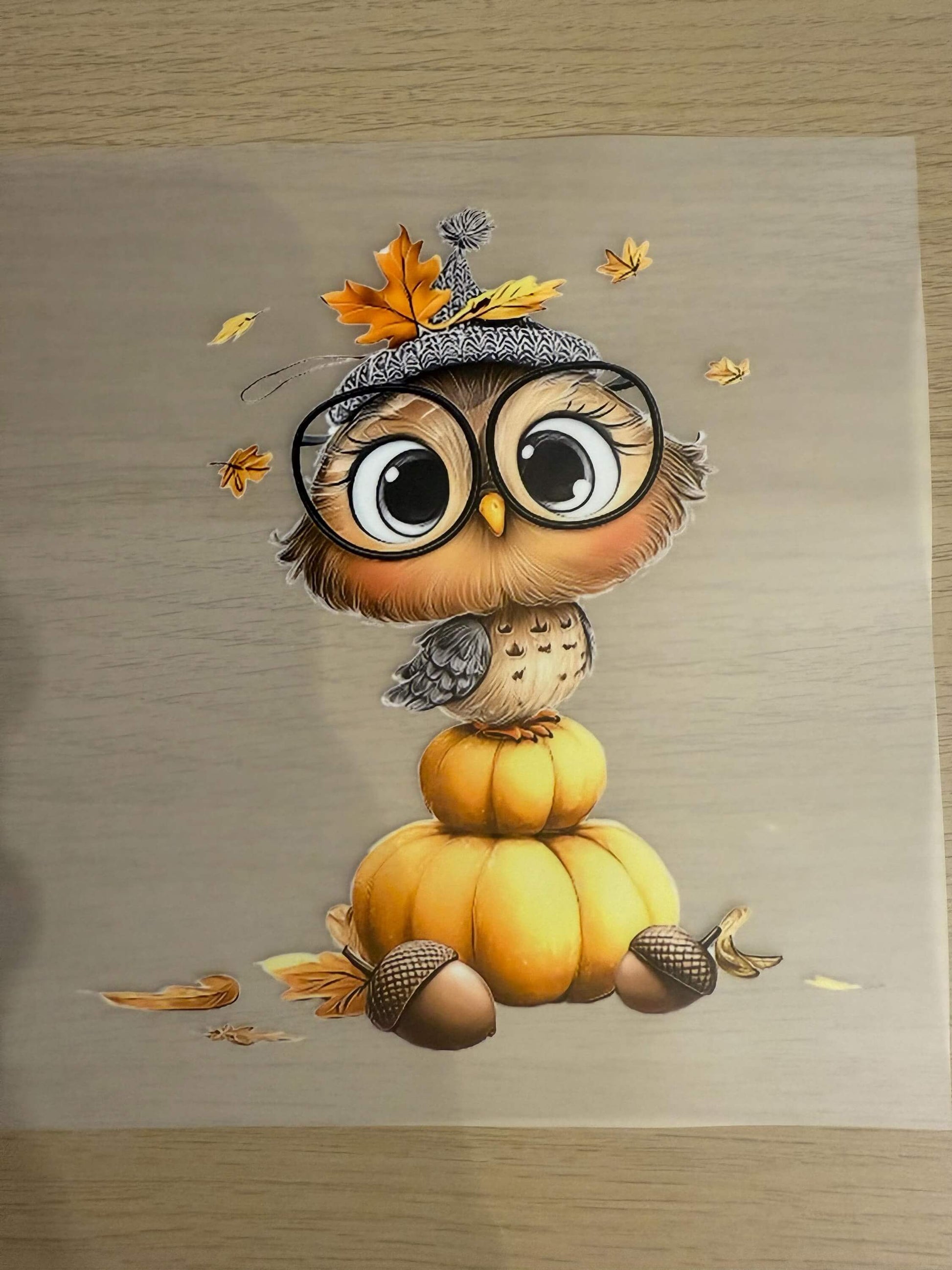  DIY Buegelsticker Herbst Eule Design mit Kuerbis und Blaettern