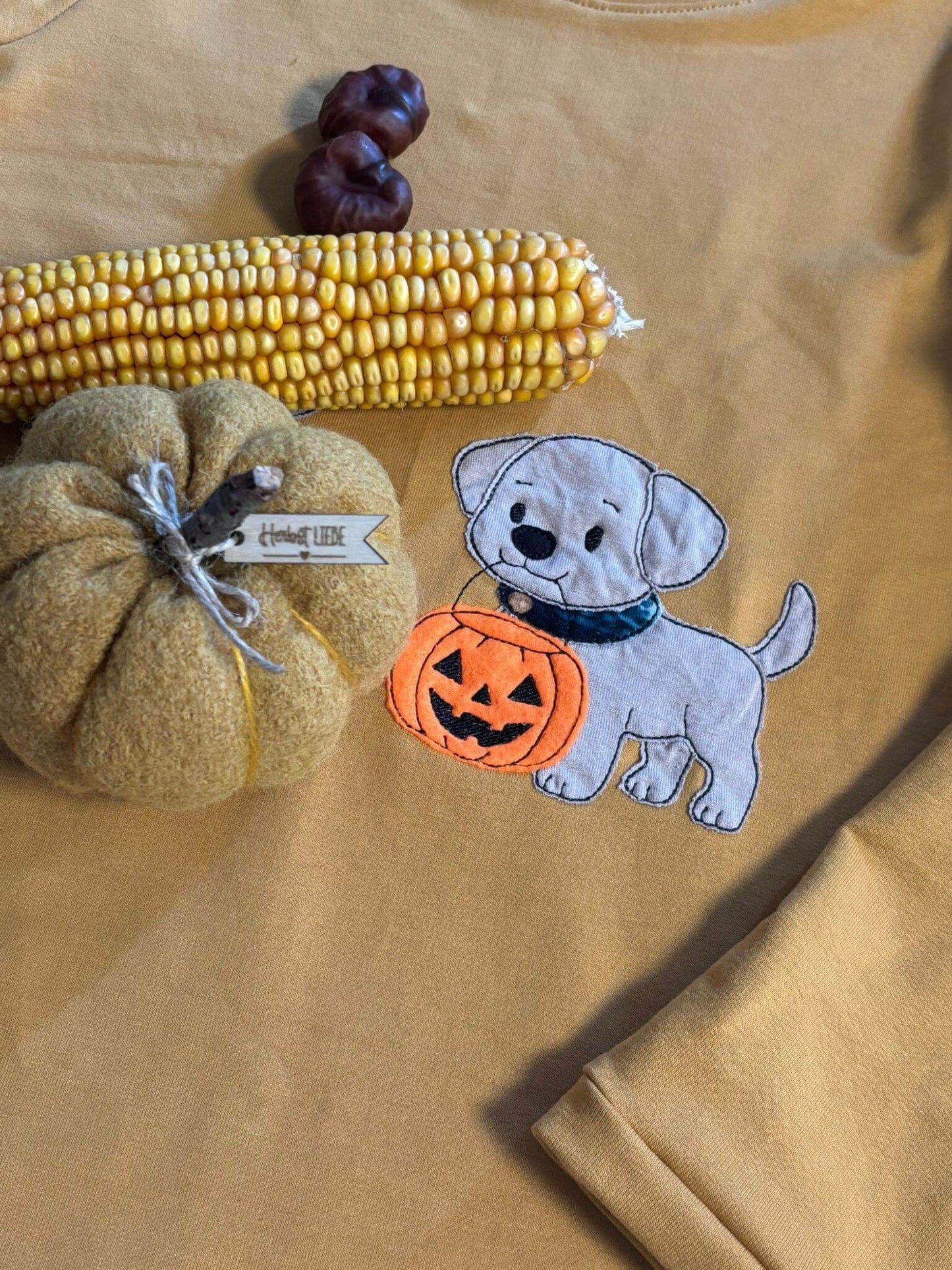 Niedlicher Hund mit Kürbis Stickmotiv – ideal für Kinderkleidung im Herbst