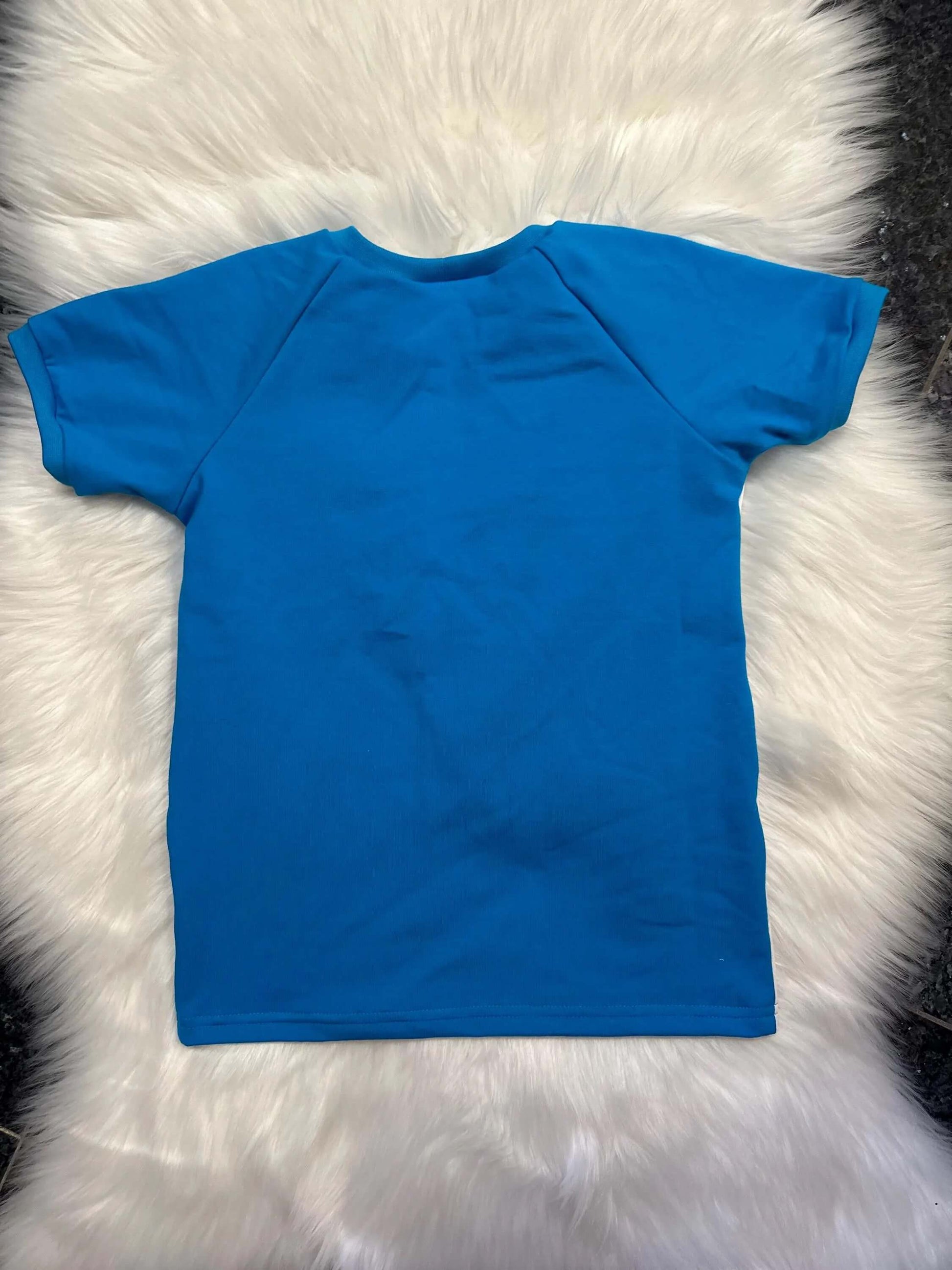 Rückseite Kinder Raglan T-Shirt blau schlicht
